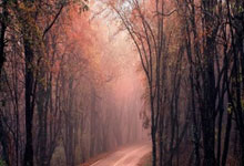 利物浦战平皇马，欧冠四强未定