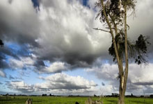 为了荣誉而战，球队必将全力以赴