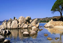 为了荣誉而战，球队必将全力以赴