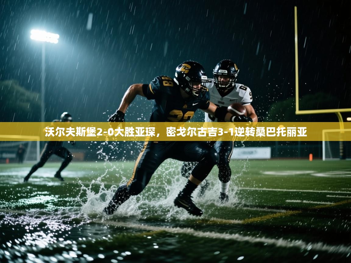 沃尔夫斯堡2-0大胜亚琛，密戈尔古吉3-1逆转桑巴托丽亚  第2张