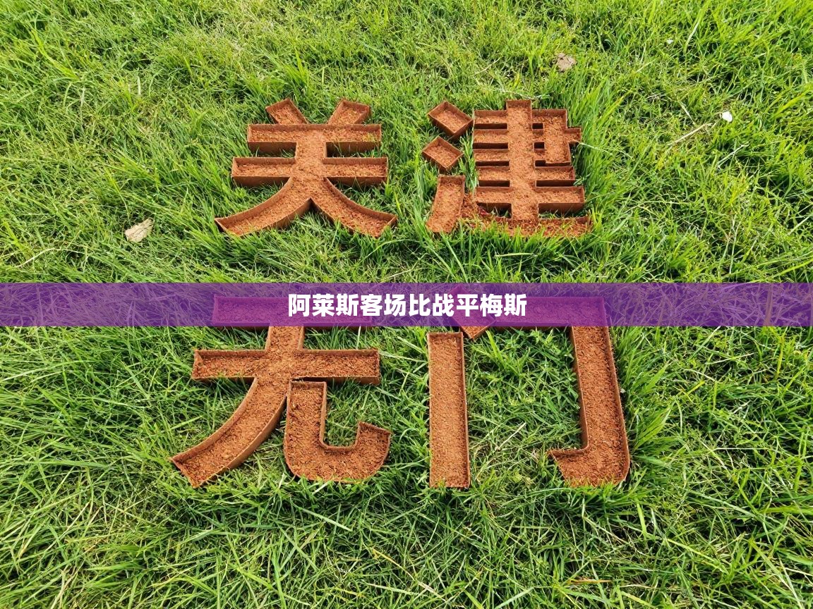 阿莱斯客场比战平梅斯  第1张