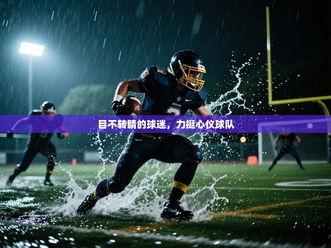 目不转睛的球迷,力挺心仪球队 第1张