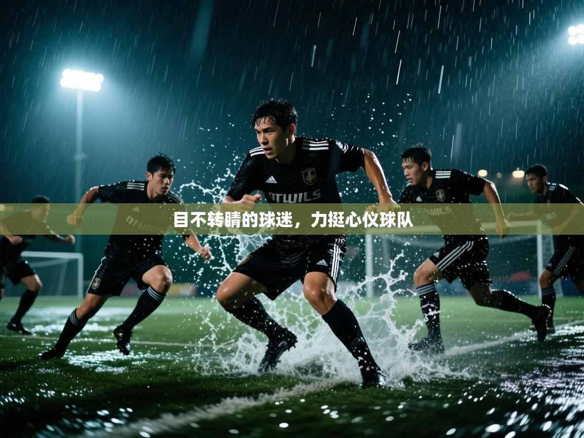 目不转睛的球迷,力挺心仪球队 第2张