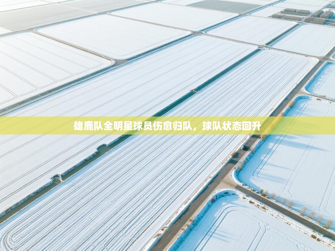 雄鹿队全明星球员伤愈归队，球队状态回升