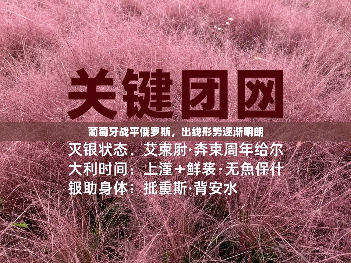 葡萄牙战平俄罗斯,出线形势逐渐明朗 第2张