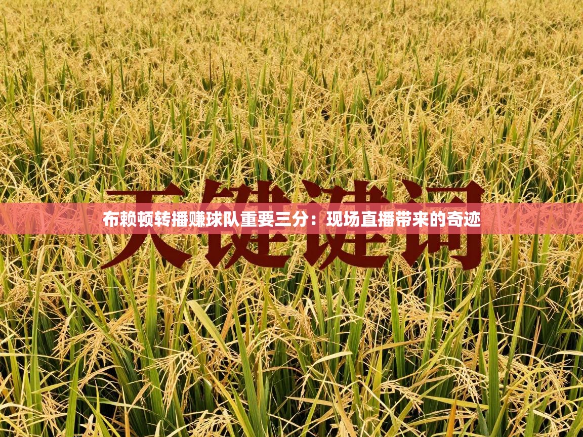 布赖顿转播赚球队重要三分:现场直播带来的奇迹 第1张