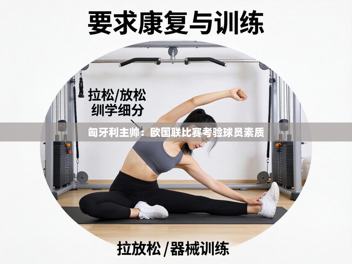 匈牙利主帅：欧国联比赛考验球员素质  第1张